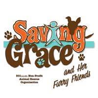 Saving Grace and Her Furry Friends