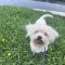 Baxter